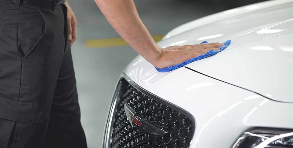 Mopar Vehicle Protection